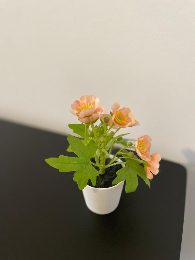 Mr Ferienwohnung - Wohnung Emma Schellerten Экстерьер фото